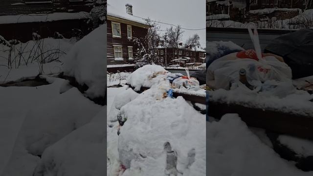 Хабарка утопает в мусоре, так как чиновники не догадались создать пункт временного накопления.