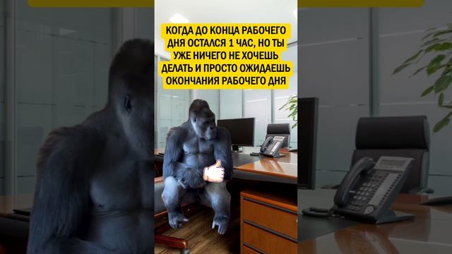 У кого было?