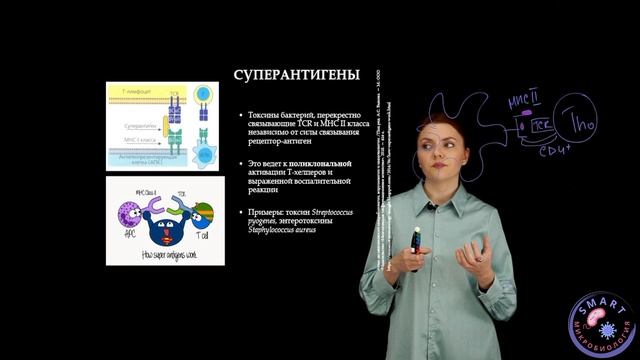 Все знают про антигены, а что же такое Суперантигены?