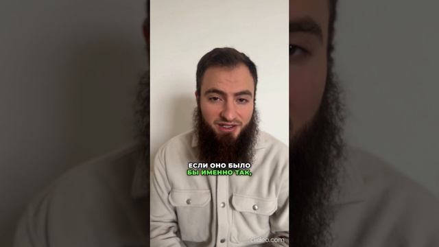 Виртуальная жизнь жены