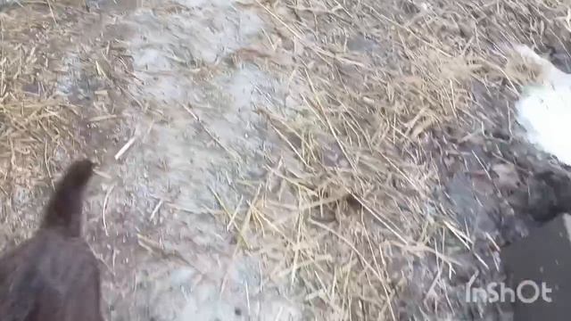 1000020553.mp4