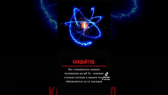 НУЖНО ЛЕНИТЬСЯ
