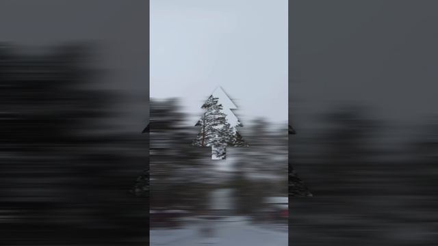 Красивые виды