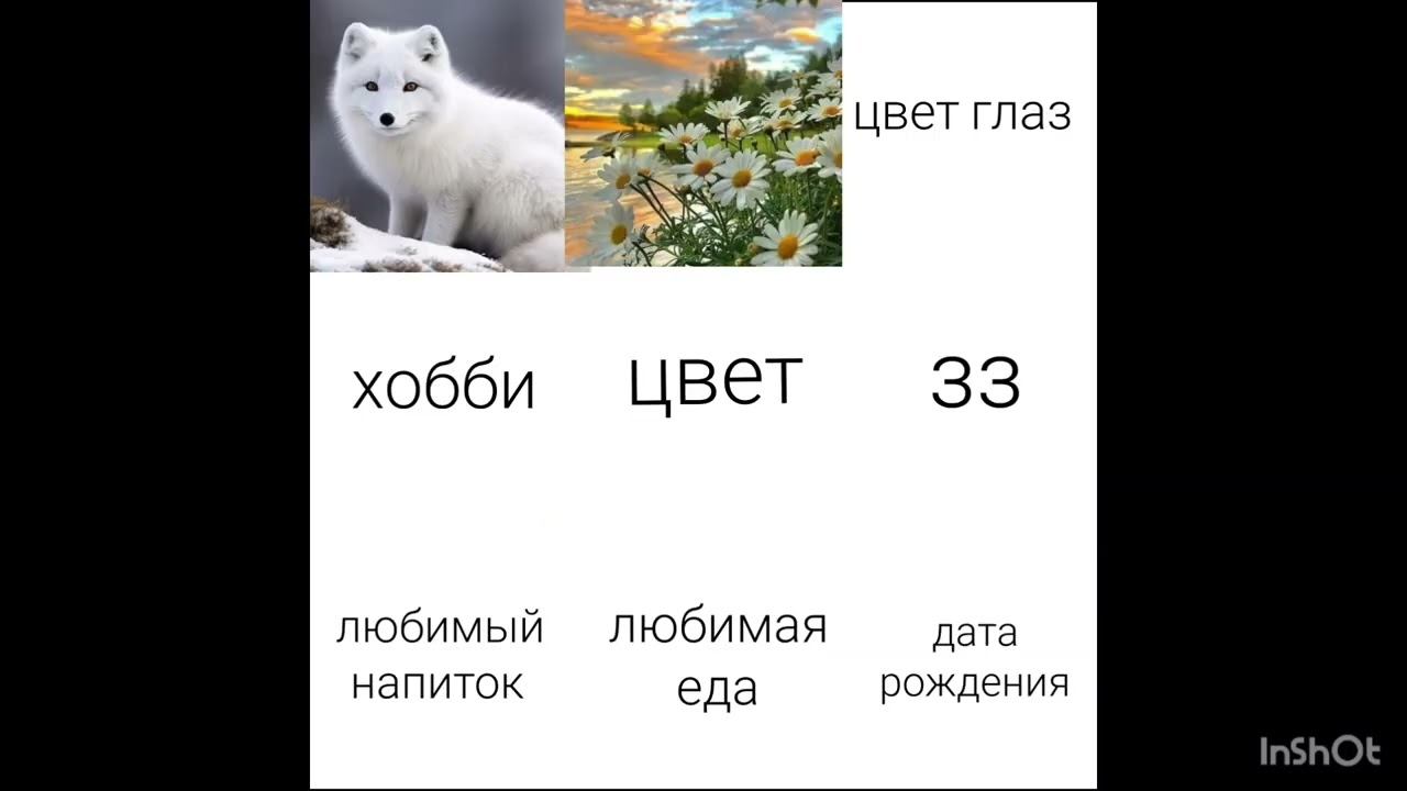 Идея @чукча_а #liyon26 #шортс #обомне #рекомендации #залетит