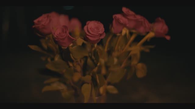 ZZ Ward - Love Alive