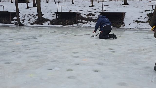 18.01.25 г. Парк отдыха водопад