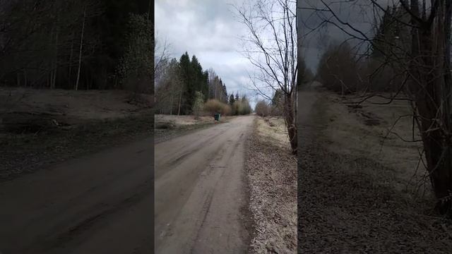 Весенняя тишина на моëм хуторе.