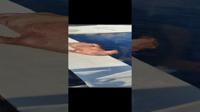 Я после ночной смены Зоопарк #shorts