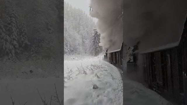 Красота 🔥