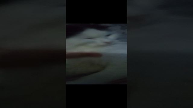 Мой кот ВАСЯ!