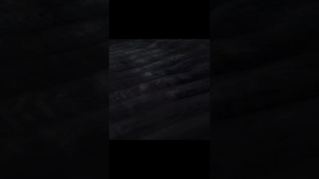 скибиди Барсик 32