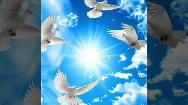 Песня:,,Не печалься весна придёт"