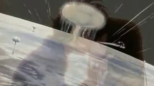 Звёзды нас ждут
