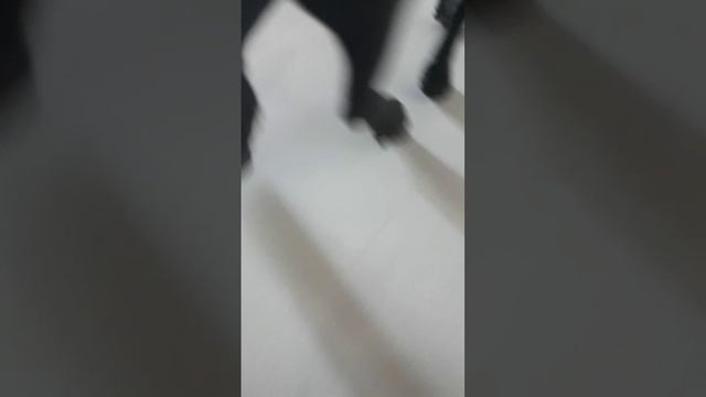 Сериал шляйх
,,Злая судьба,,
