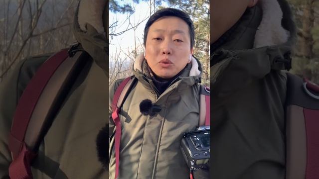 История о охоте на белок.