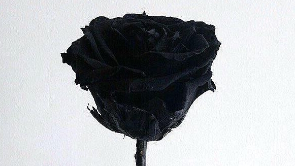 играю с сестрой