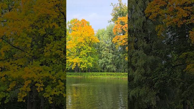 Фонтаны Петергофа, Нижний парк