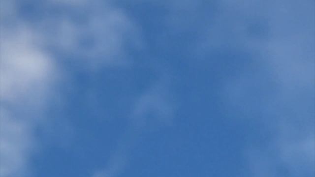 1000029619.mp4