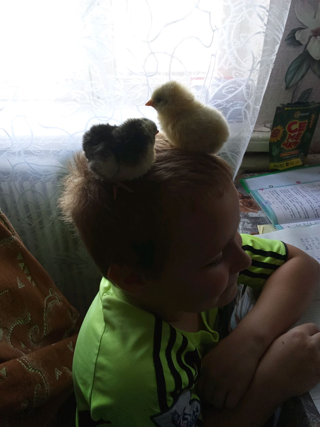 готовим яйца