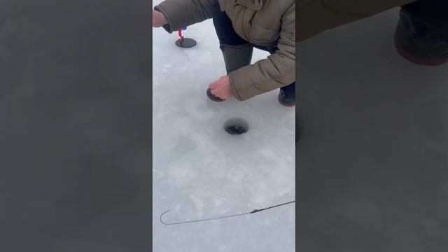 проверка жерлиц