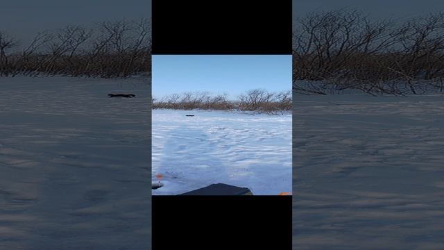 1000019878.mp4
