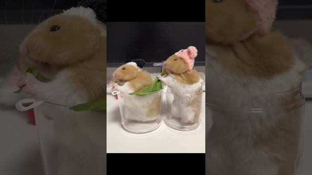 10 миллионов