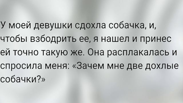 Анекдоты