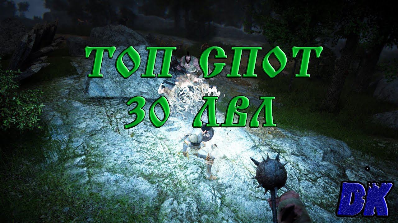 Black Desert (Россия)  - Топ спот 30 лвл