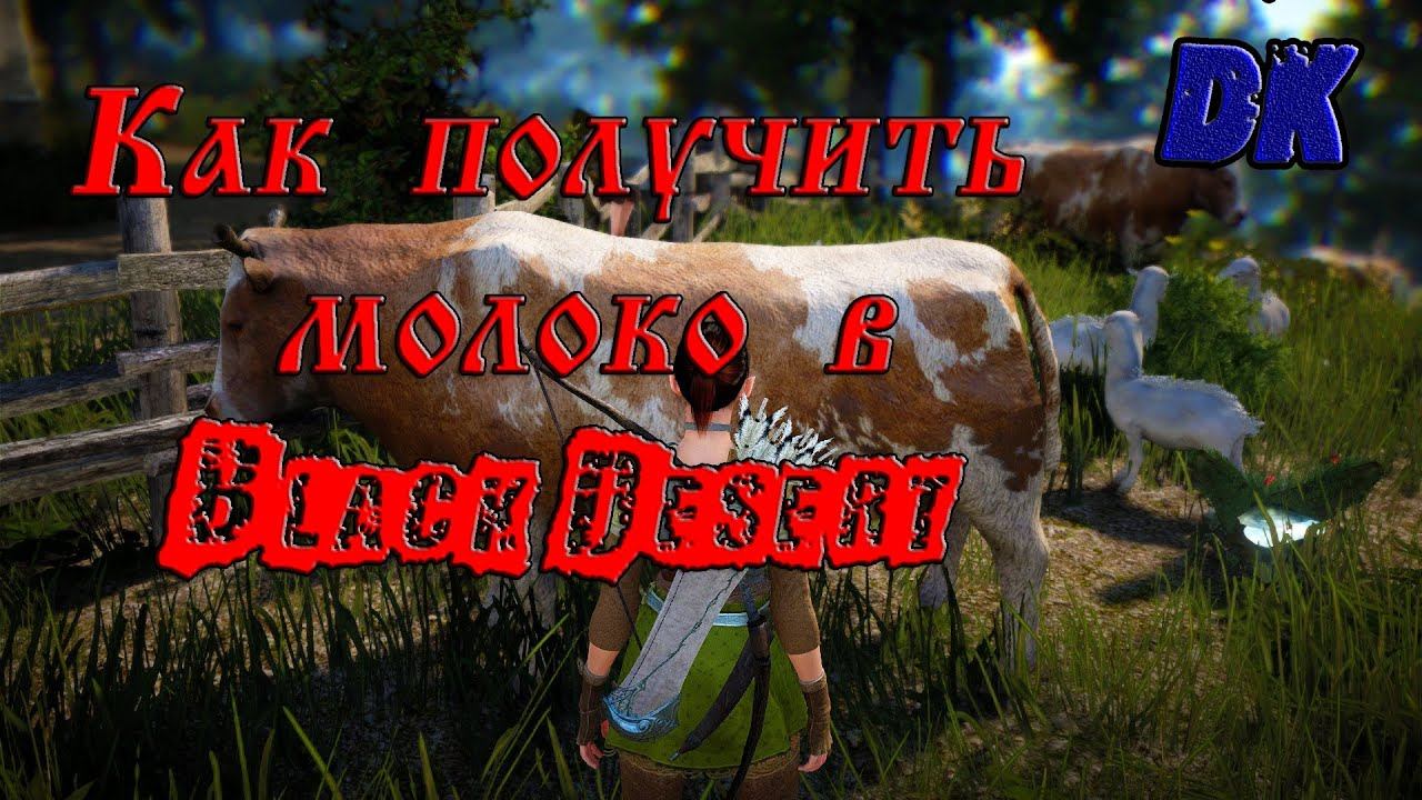 Black Desert (Россия) - Дойка коров, получение молока, квест на молоко.