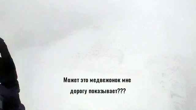 Ёжик в тумане-ремейк 2025