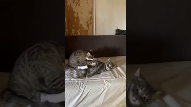 хороший массажист 2