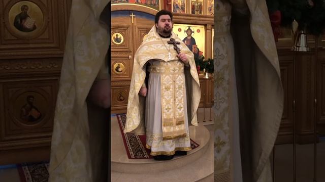 Память прп. Серафима Саровского. Друг друга тяготы носите. Проповедь о. Николая. 15.1.25
