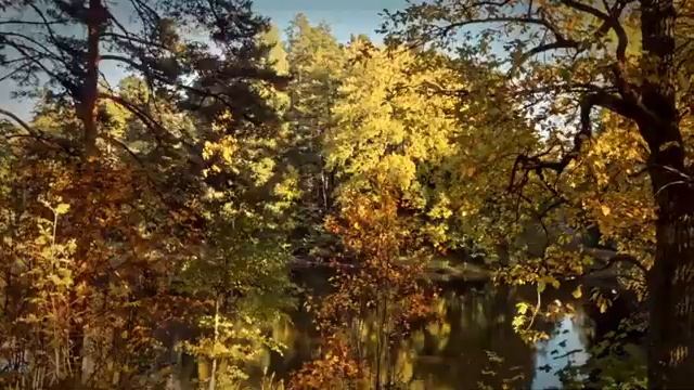 РУСЬ ДЕРЖАВНАЯ.Сл.мон.Тамары и иером.Трифона.Муз.Е.Клепалова.Исп.Алла Платонова.