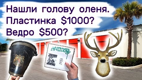 Нашли голову оленя.  Пластинка $1000?  Ведро $500?