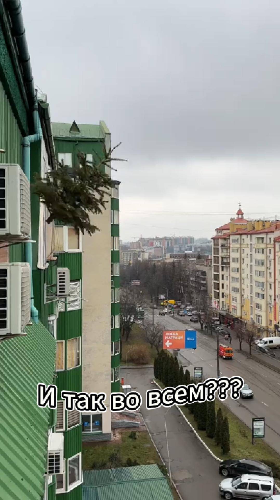 Ты из тех, кто не любит убирать елку и тянет до мая? 🎄🙈