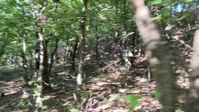 Ялта 7 участков ИЖС п. г. т. Виноградное