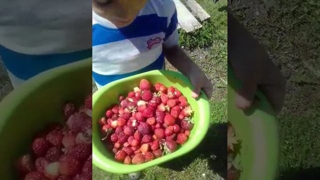 VID-20250113-WA0032.mp4