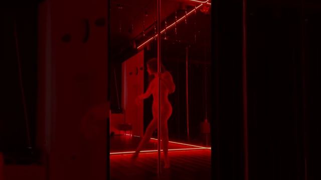 Exotic pole dance Дудникова Марина. Eden dance studio 170125 (2)