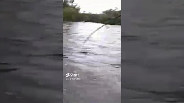 1000031411.mp4