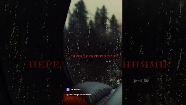Прости меня за всё...