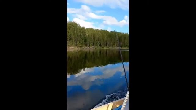 Суйсарь . Наша дача и отдых .