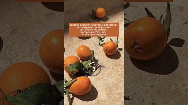 Насколько хорошо ты знаешь теорию по литературе?