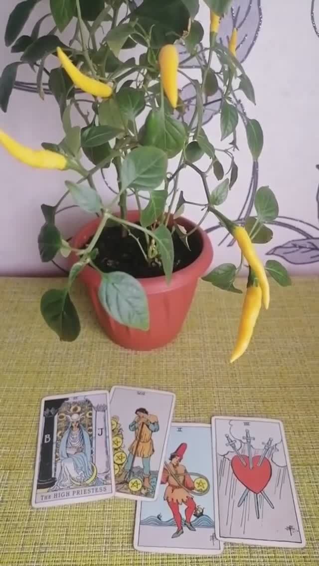 СКОЛЬКО КАРТ ТАРОЛОГУ ВЫТЯГИВАТЬ НА ВОПРОС?