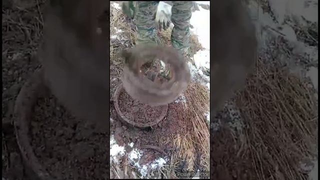 Январский Металлокоп