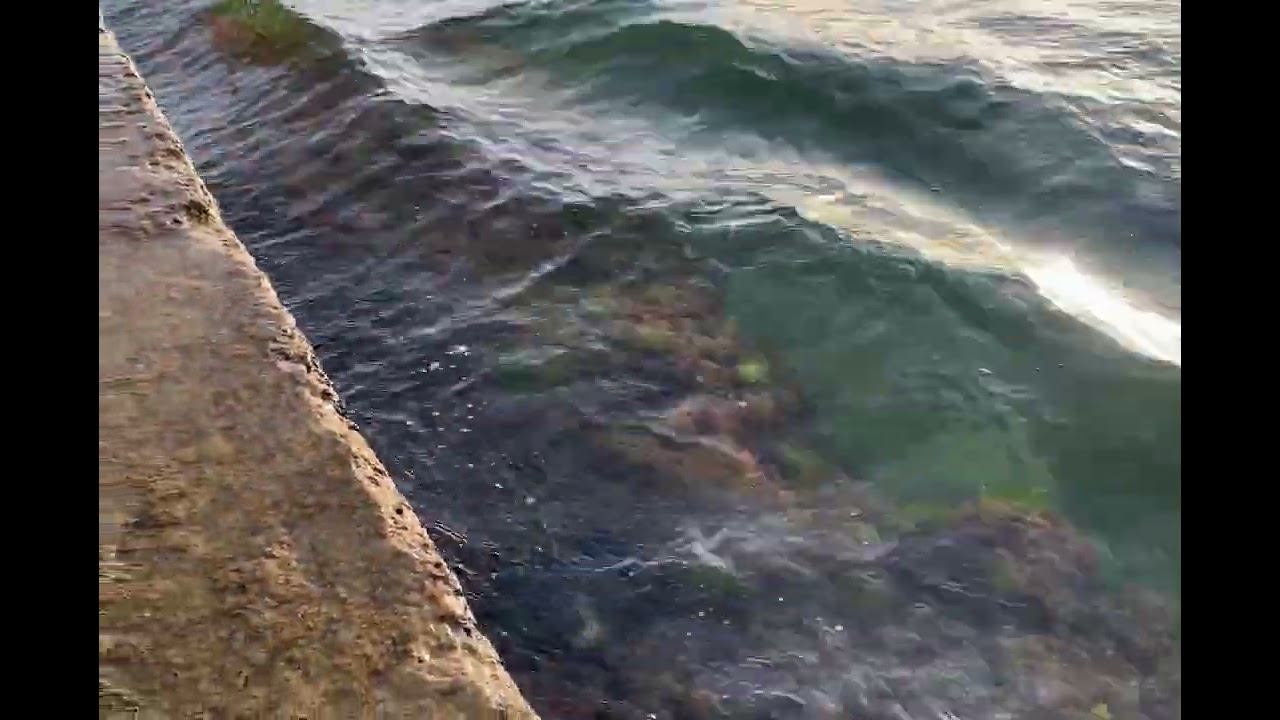 Морские волны плескаются с брызгами о парапет, шум моря #sea #seawaves #seaweed