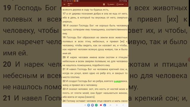 Карповецкий - Томев. Куда бить? Часть 4,