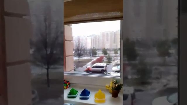 у меня дома живёт бобёр
