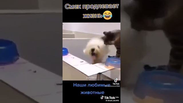 Смех продлевает жизнь 🤣😂