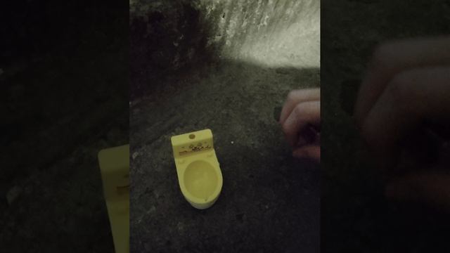 туалет