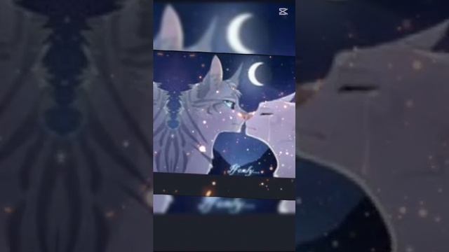 Воробей// Половинка луны